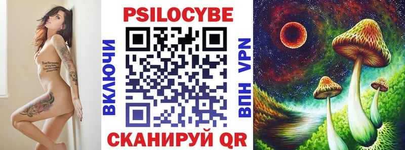 блэк спрут как зайти  Болхов  Галлюциногенные грибы Psilocybe 
